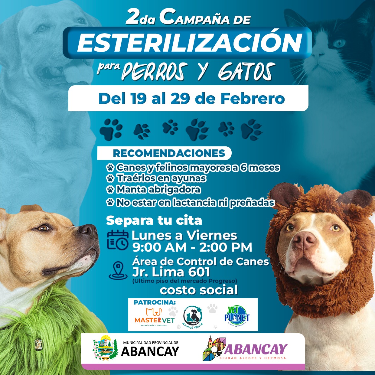 Municipalidad provincial de Abancay
